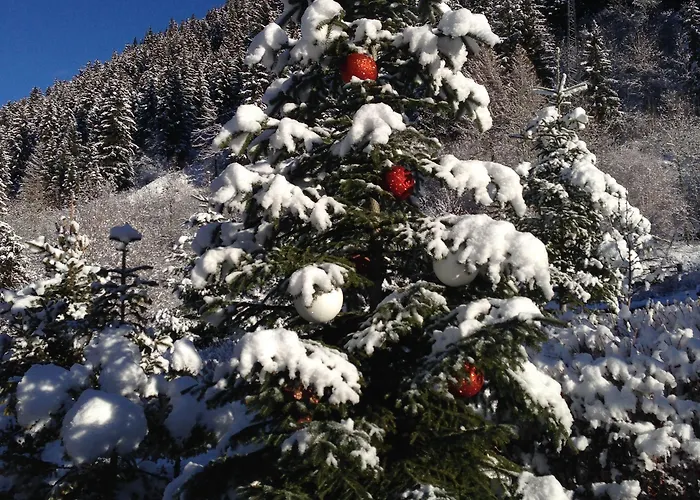 Cour Maison מלון דירות